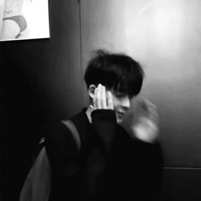 兽设物种设计灵感兽圈社群